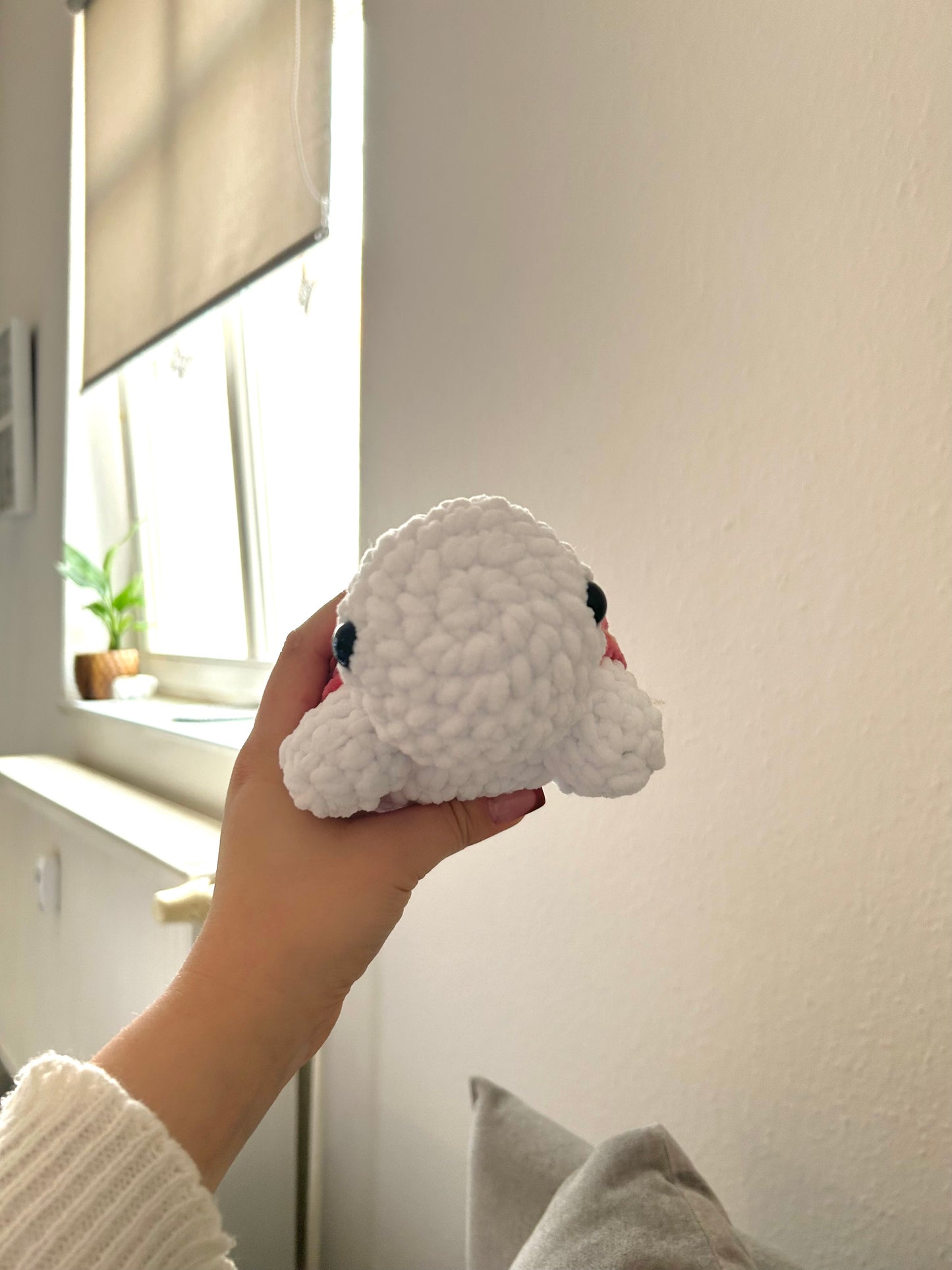 Schildkröte in Wunschfarbe