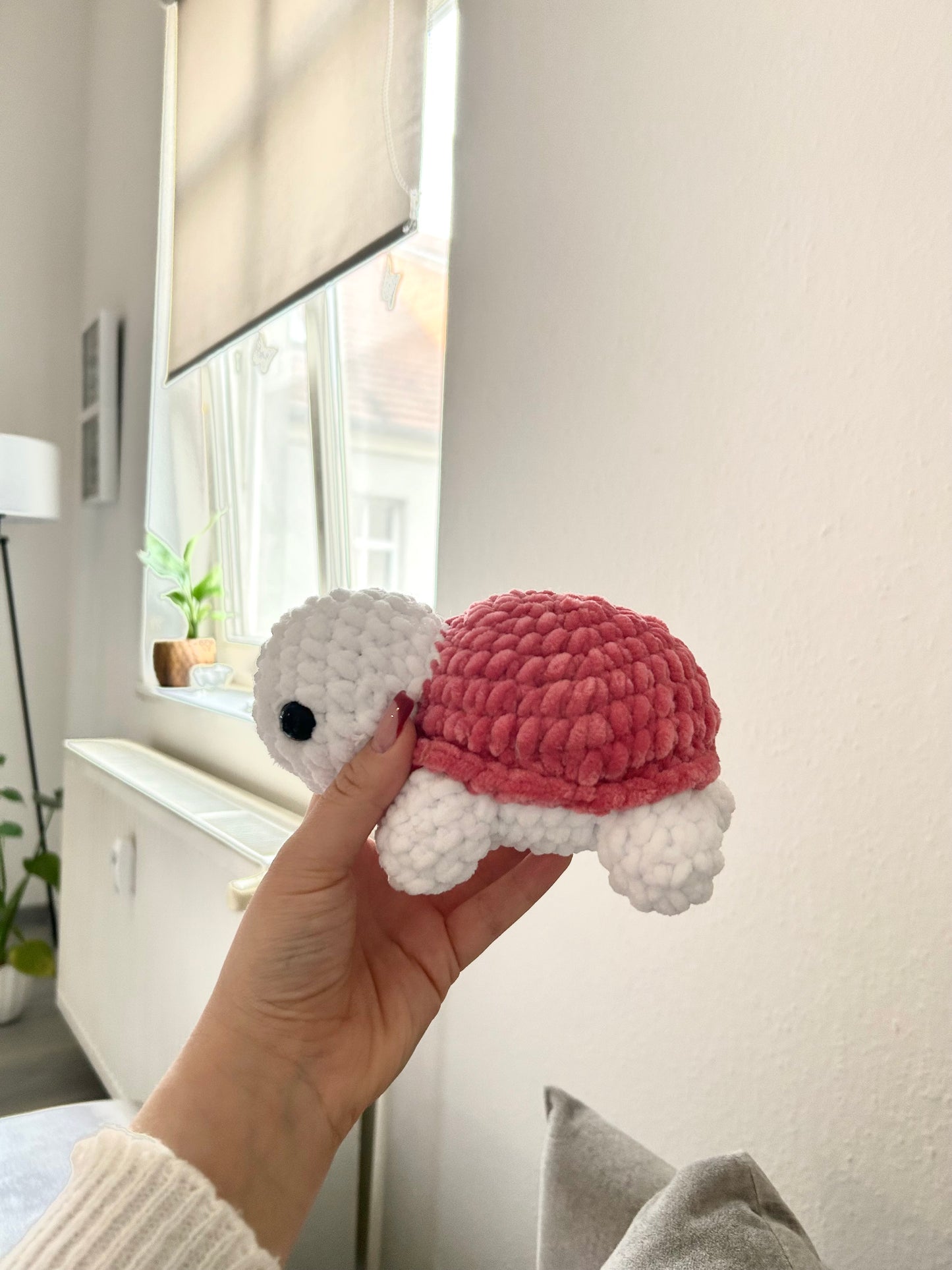Schildkröte in Wunschfarbe