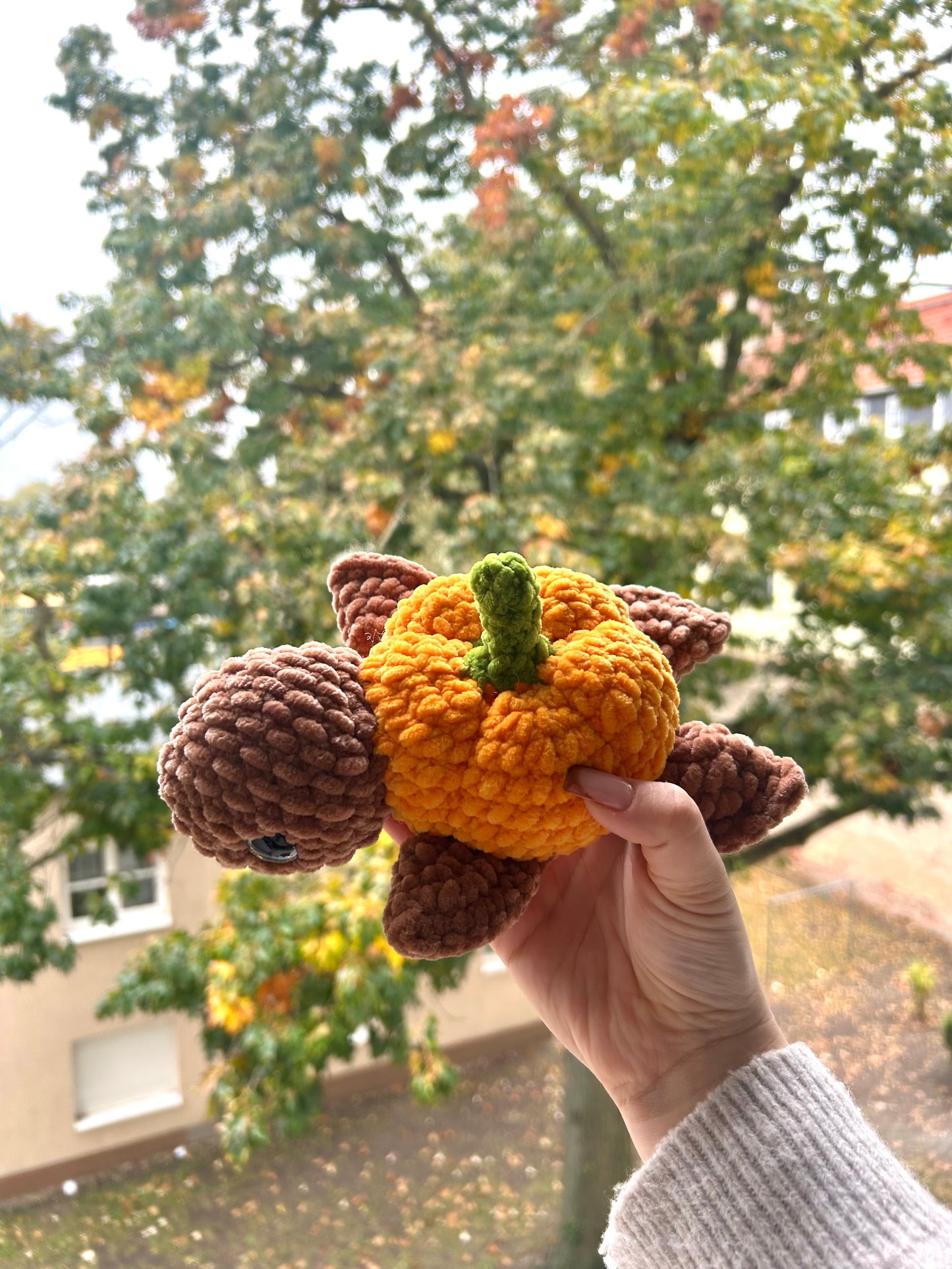 Pumpkin Pie die Schildkröte