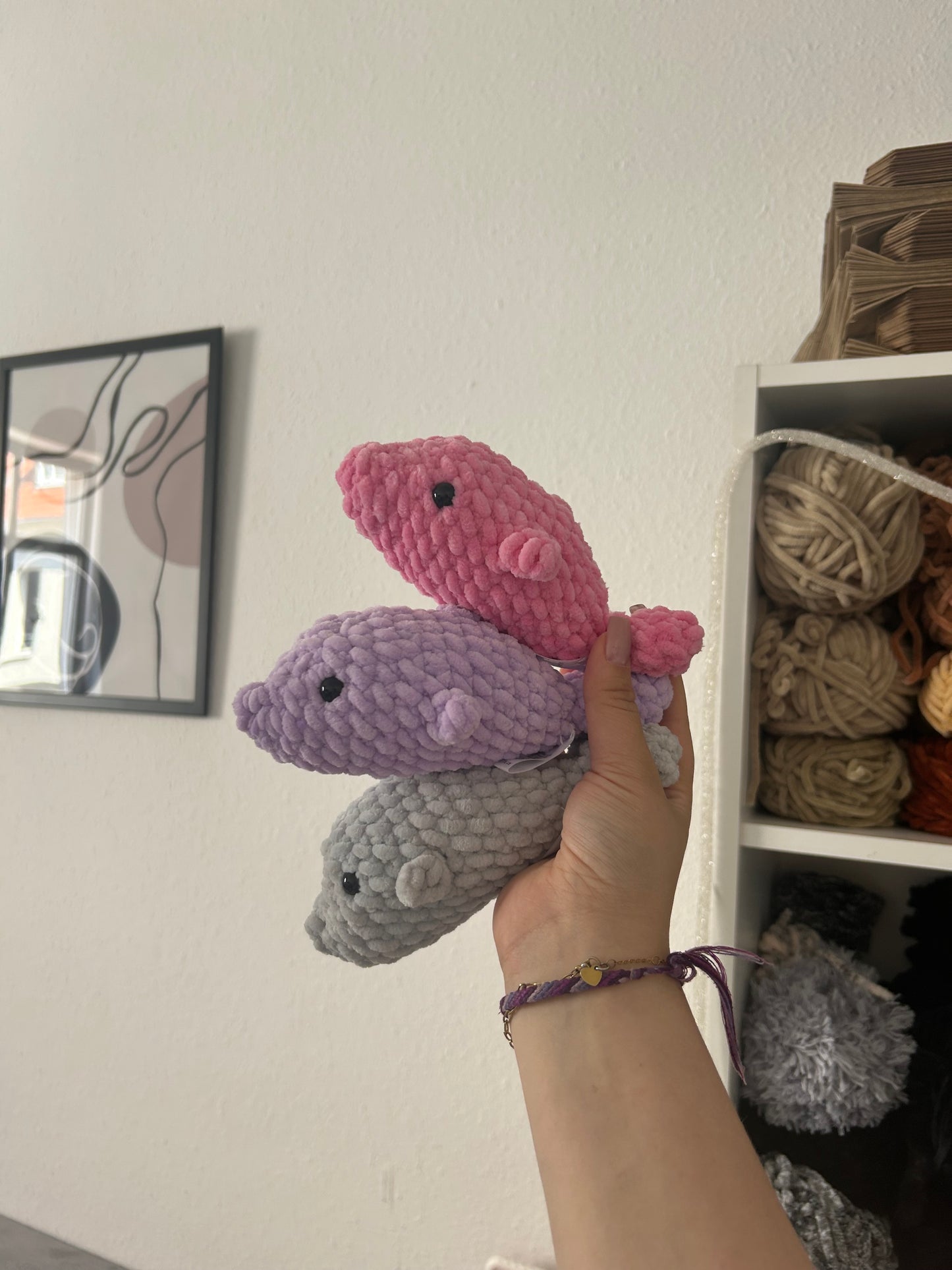 Finni - der Delfin