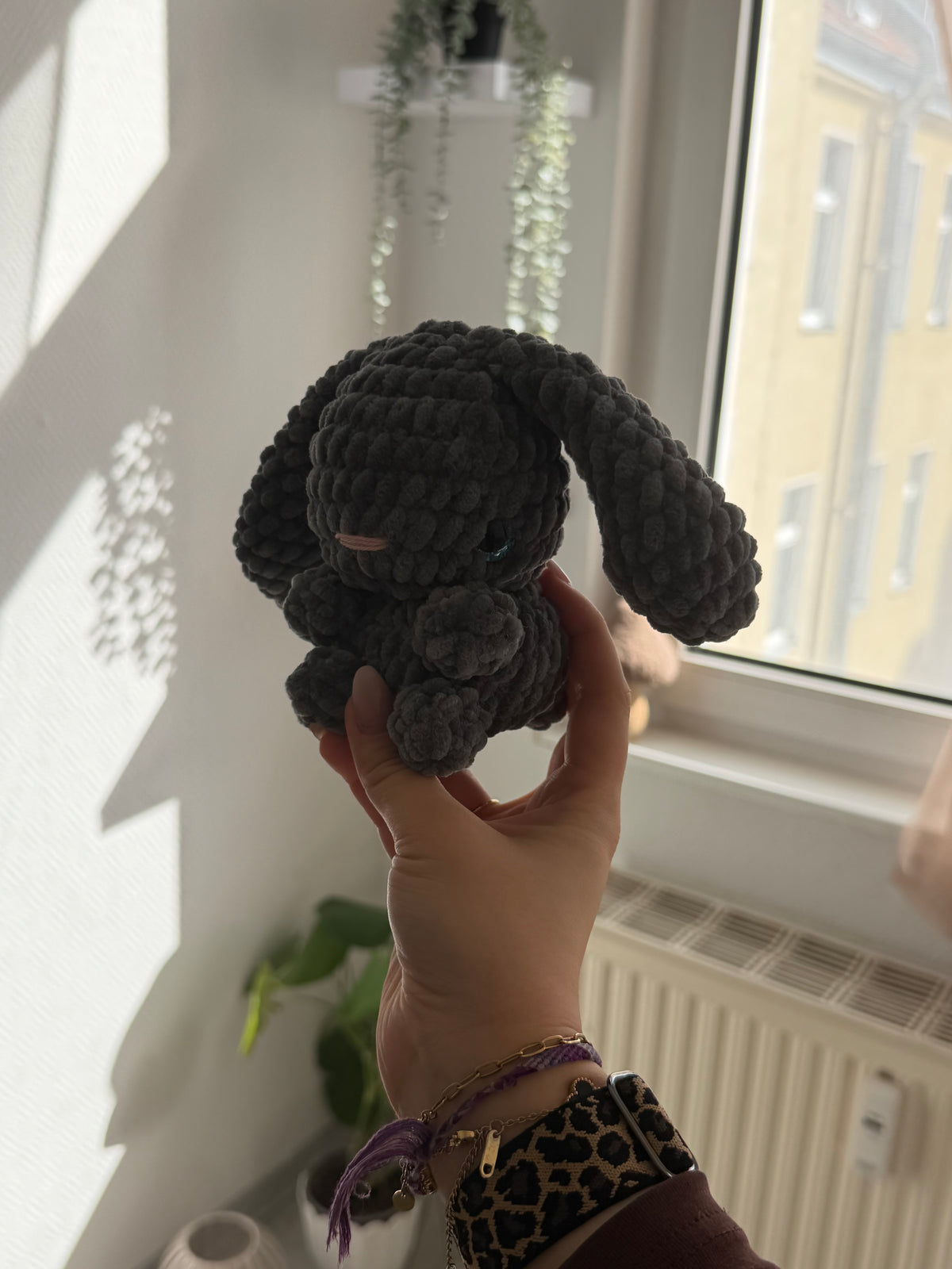 Nox - der Hase