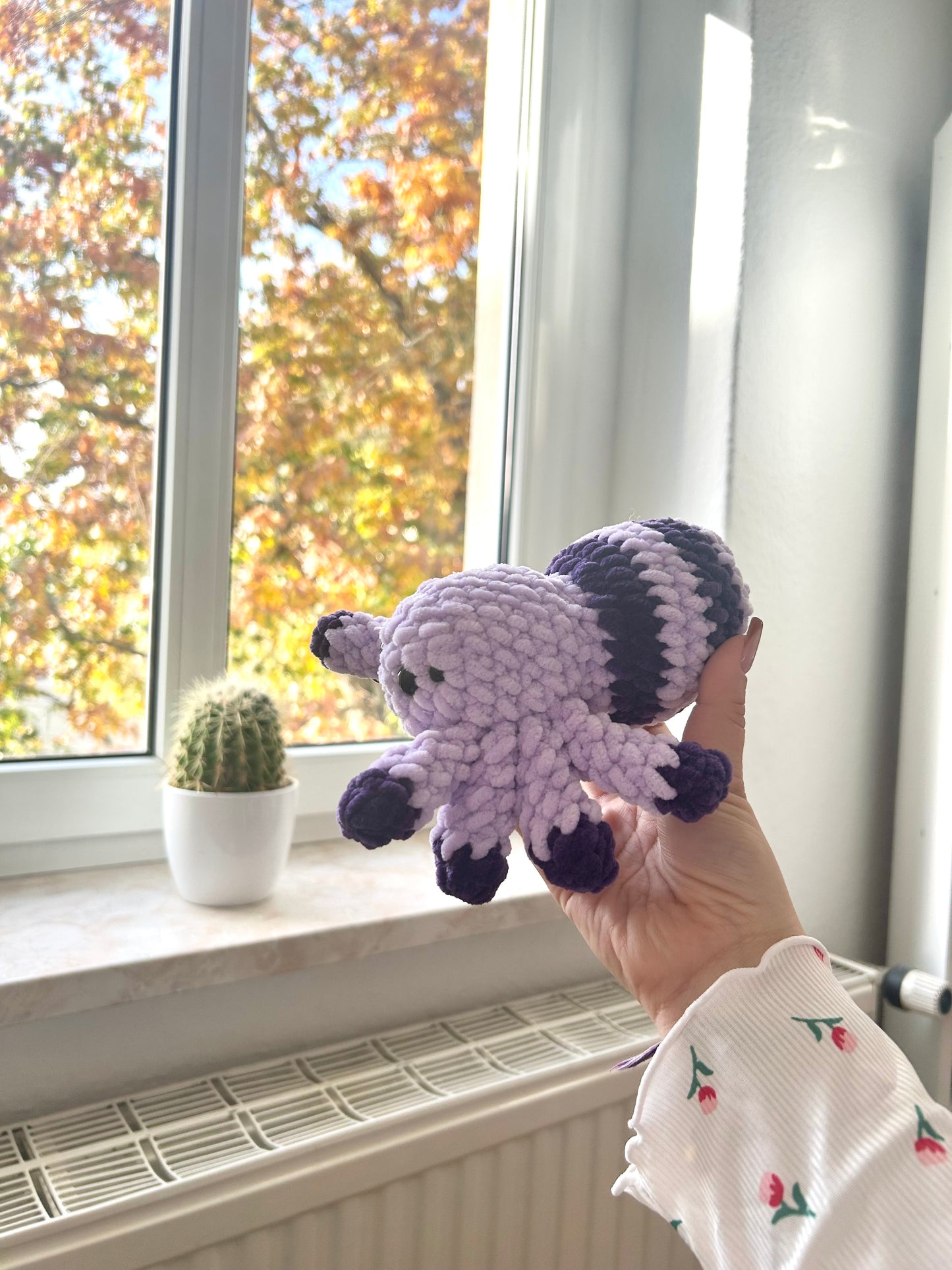 Lotte die Spinne