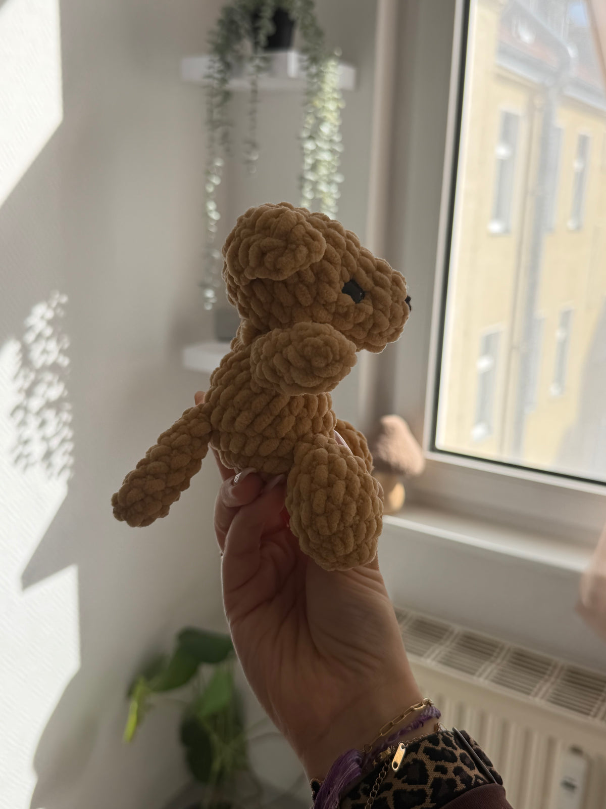 Bruno - der Hund