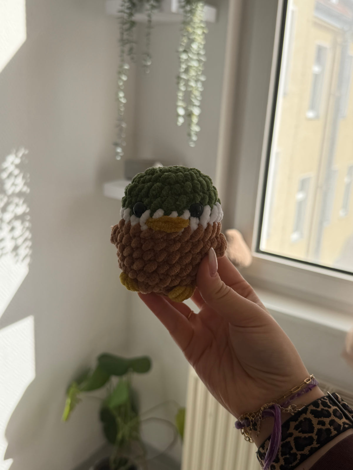 Quaki – die Ente