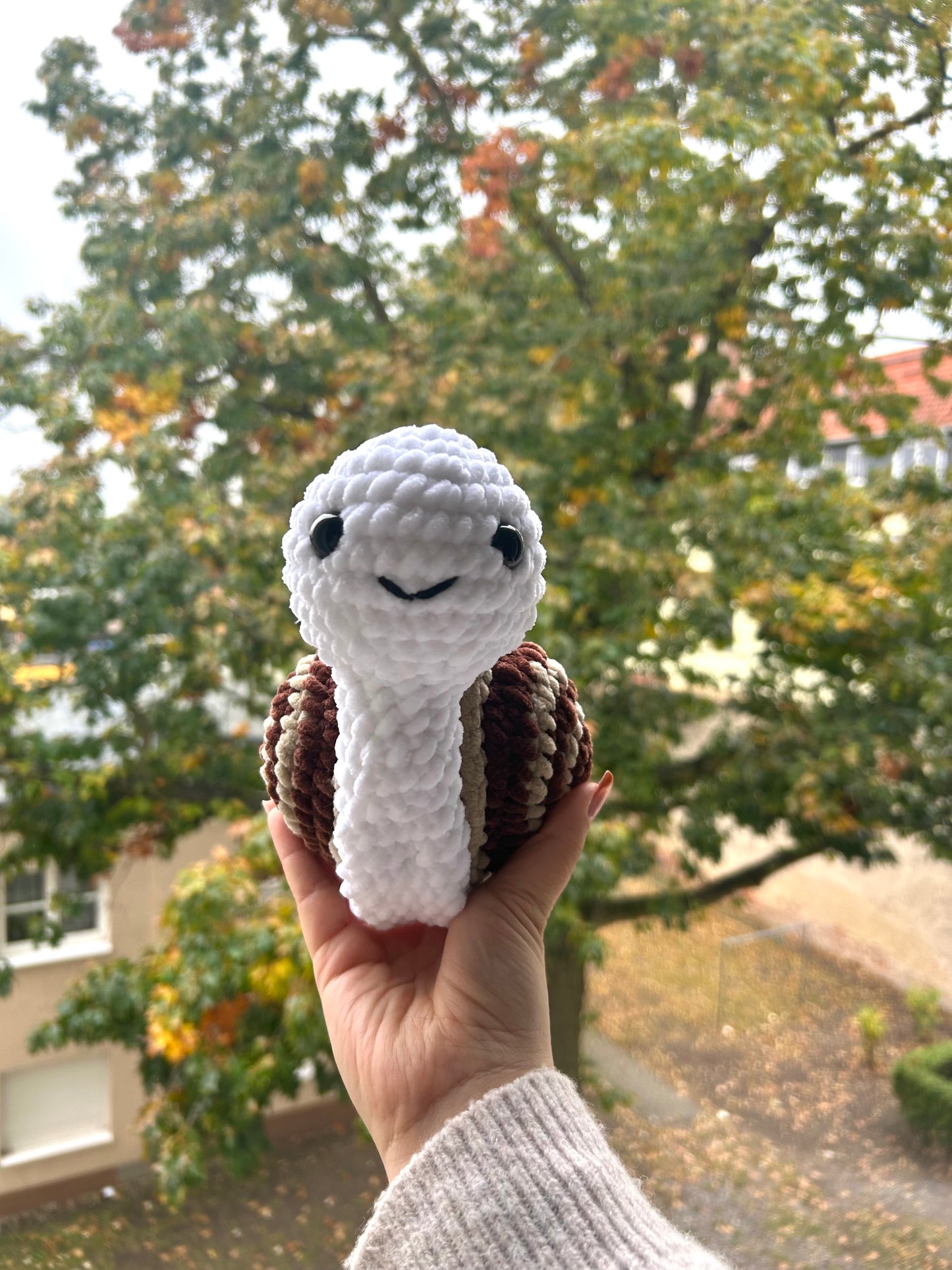 Nola die Schnecke