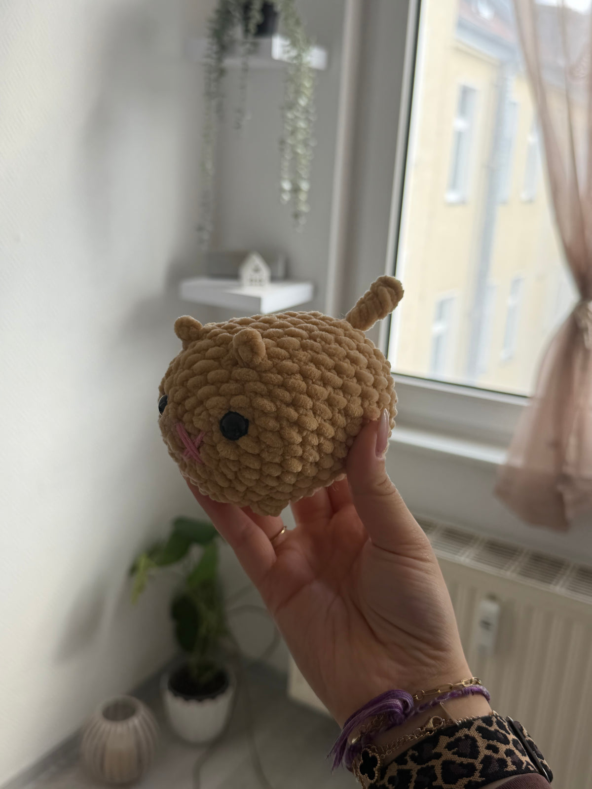 Mochi - die Katze