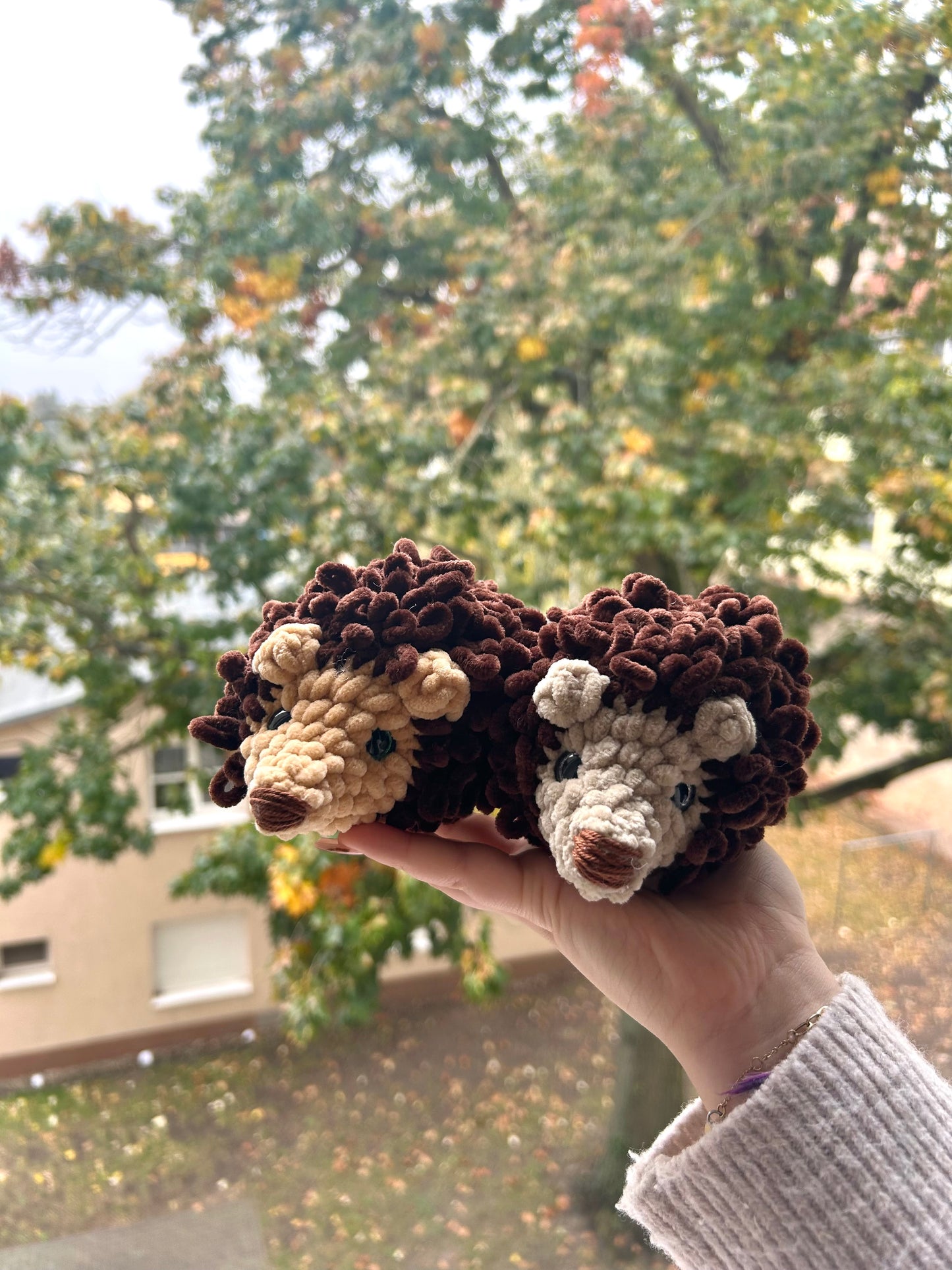 Hugo & Hilda die Igel