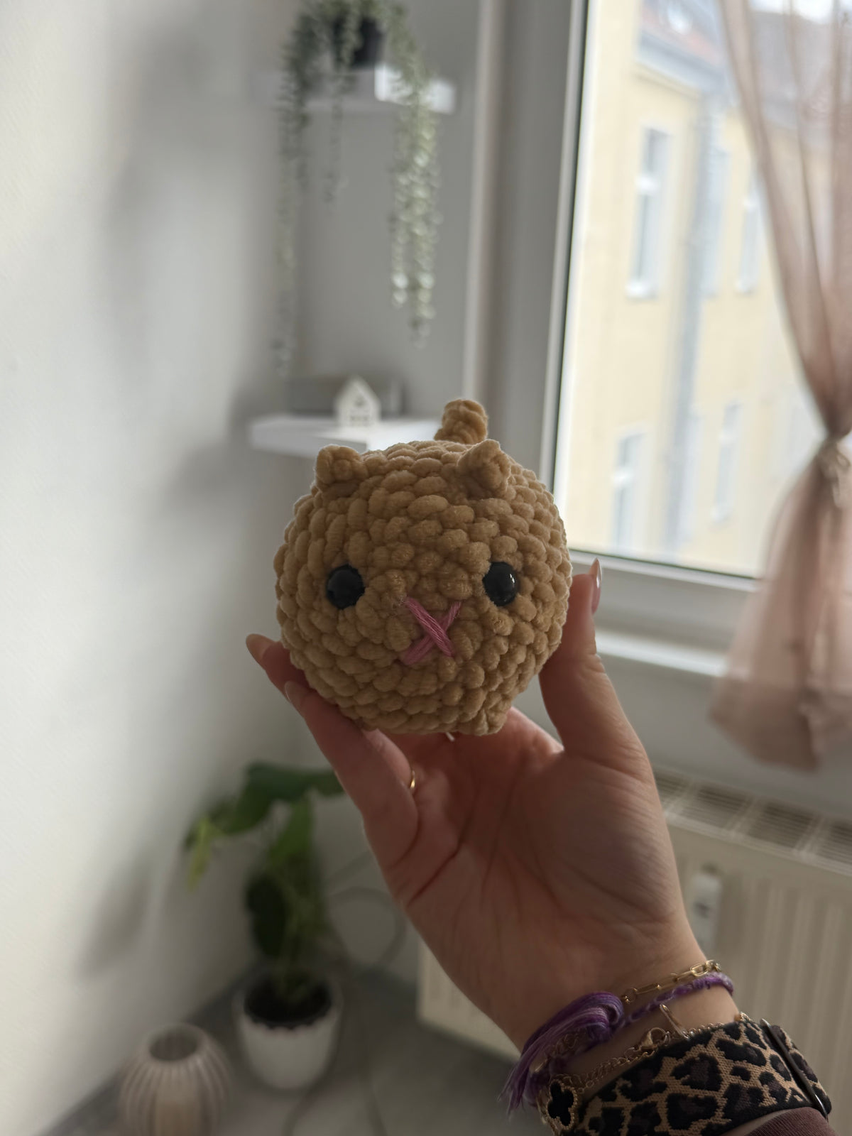 Mochi - die Katze