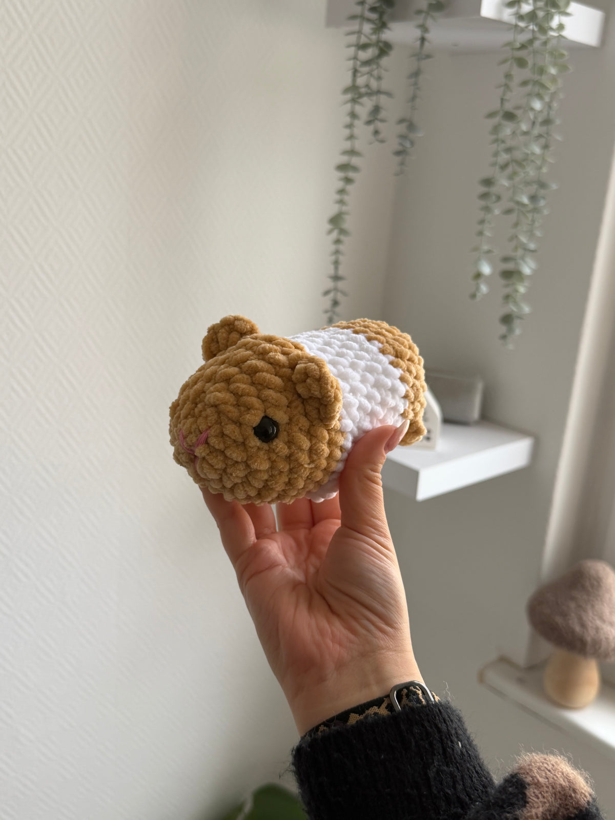 Cookie - das Meerschweinchen