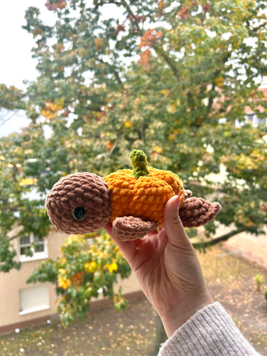 Pumpkin Pie die Schildkröte