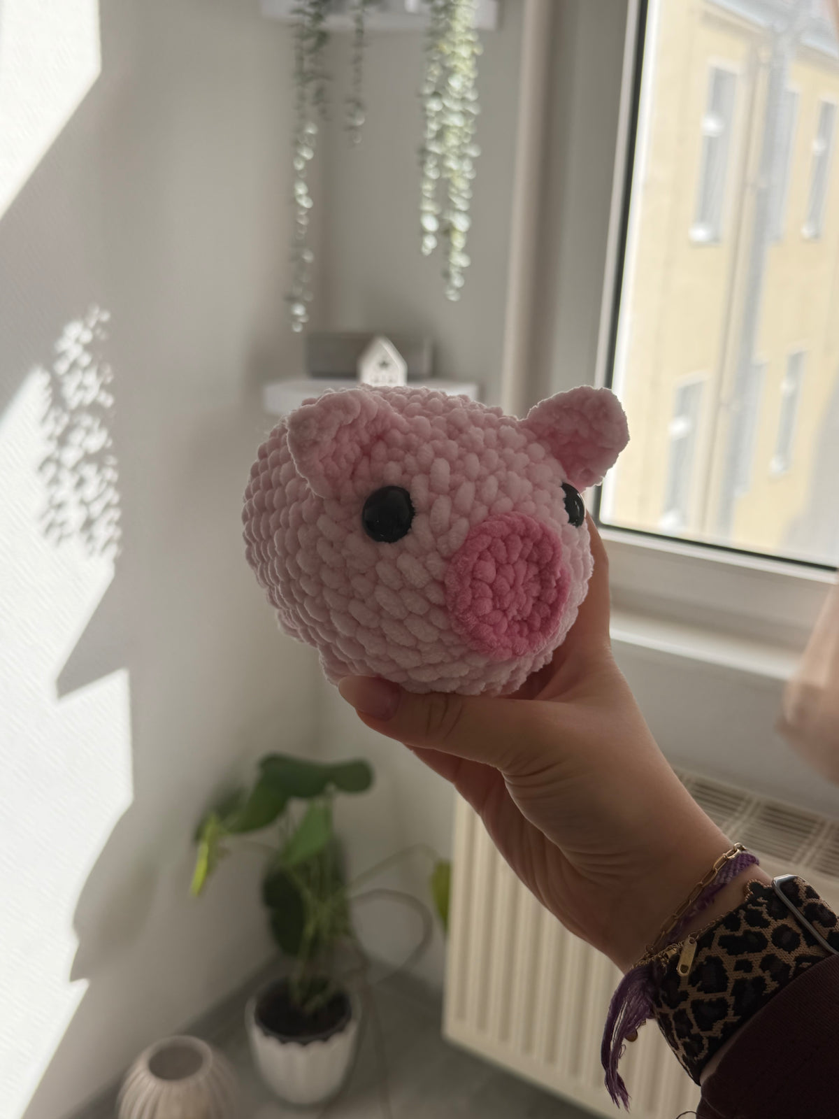 Pippa – das Schwein