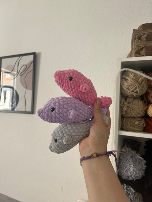 Finni - der Delfin