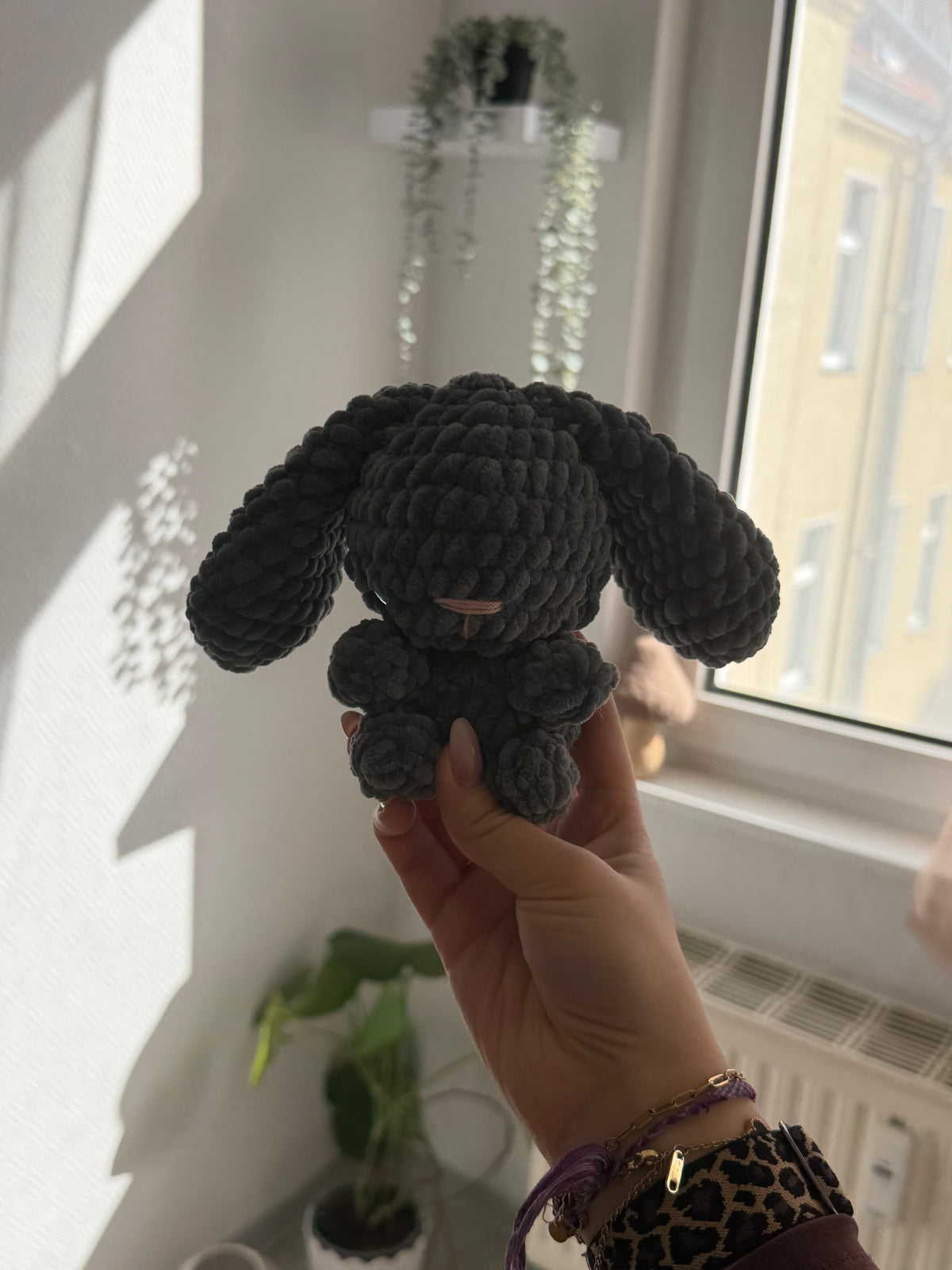 Nox - der Hase