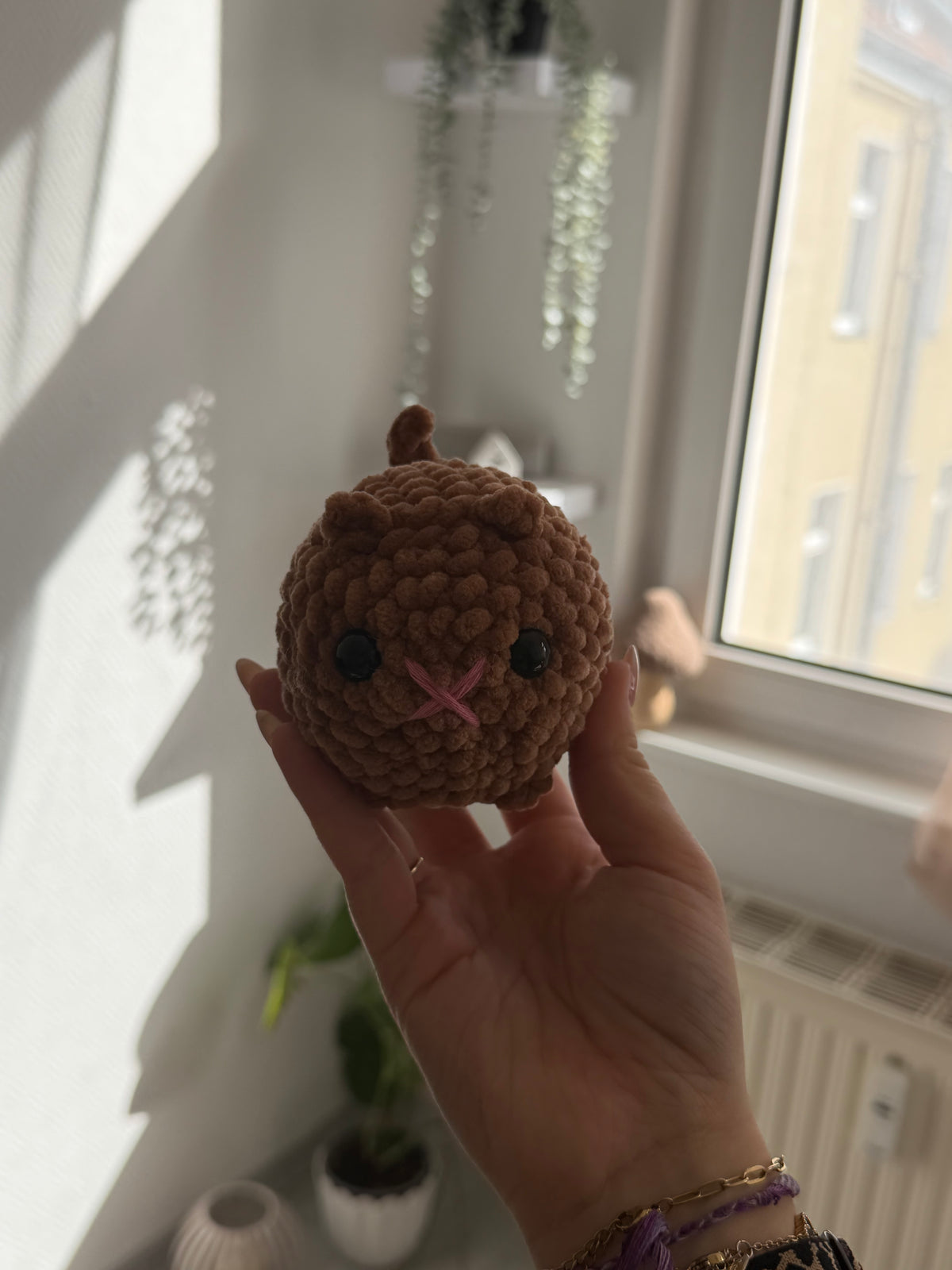 Toffee - die Katze