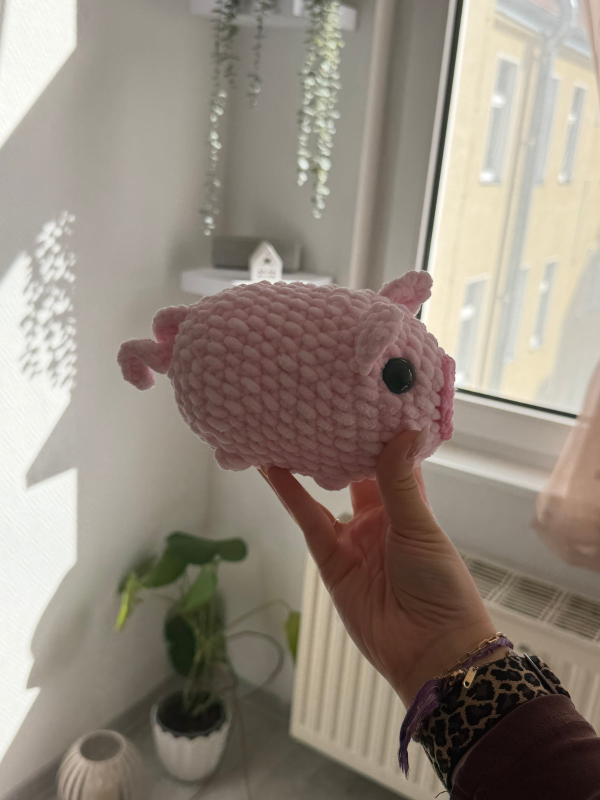 Pippa – das Schwein