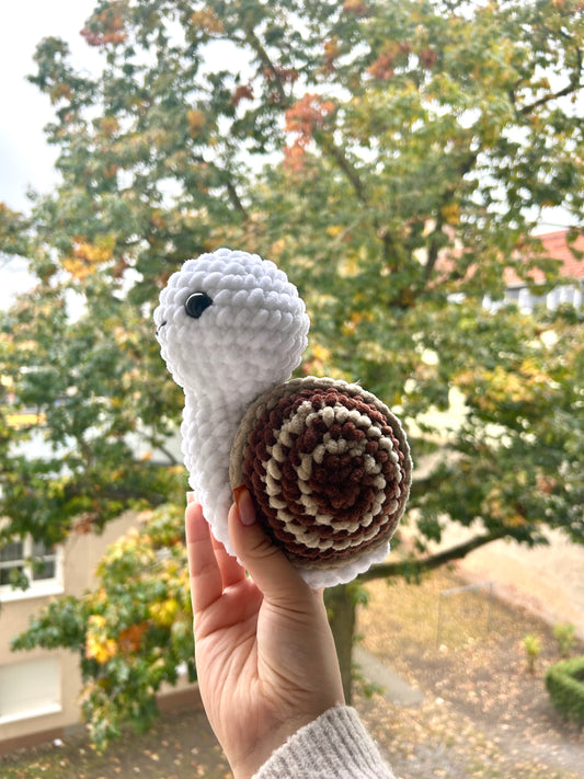 Nola die Schnecke