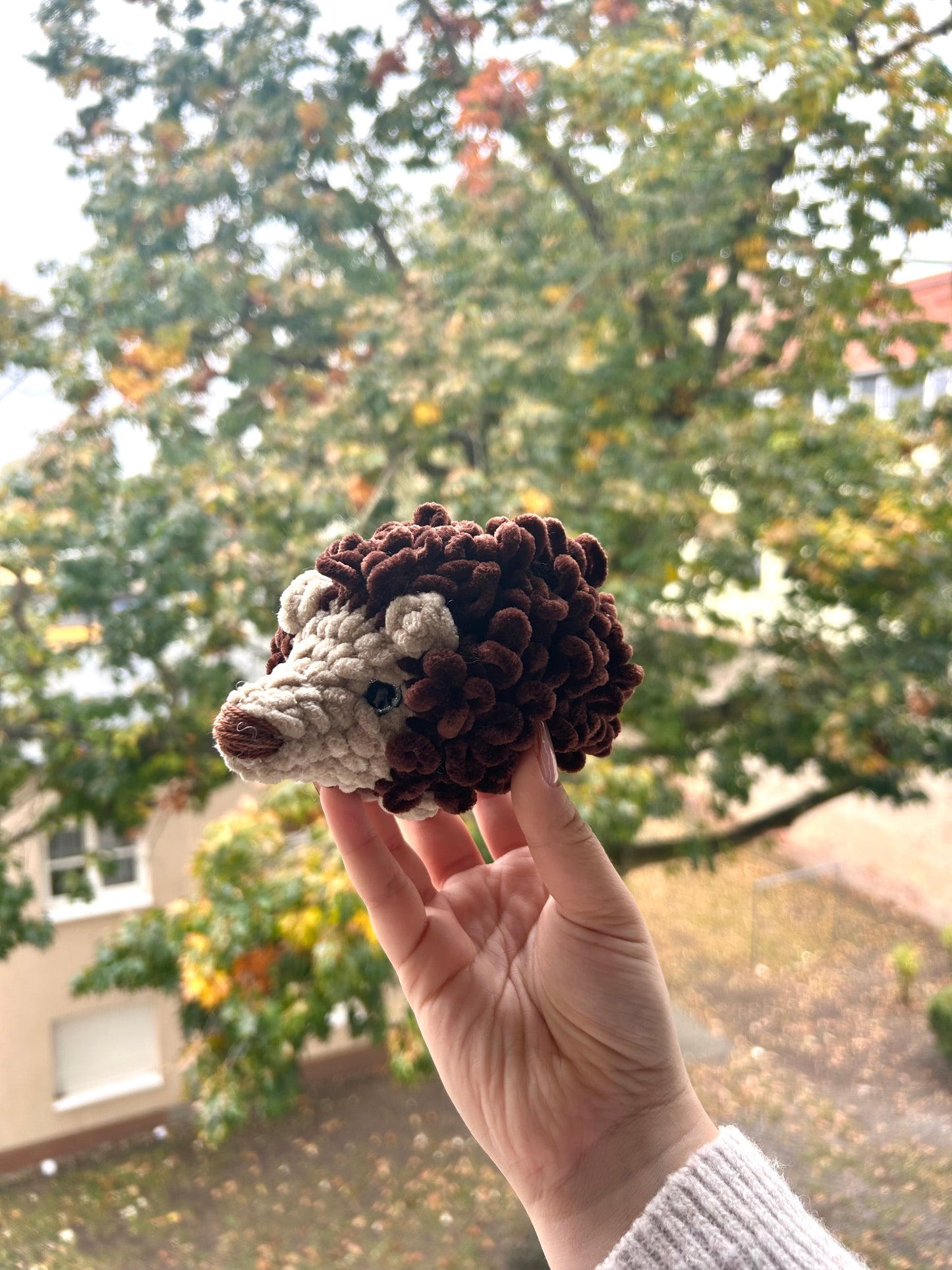 Hugo & Hilda die Igel