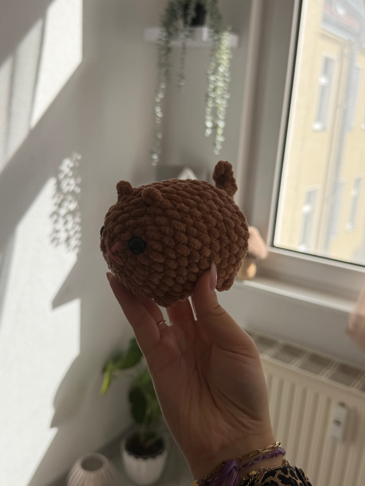 Toffee - die Katze