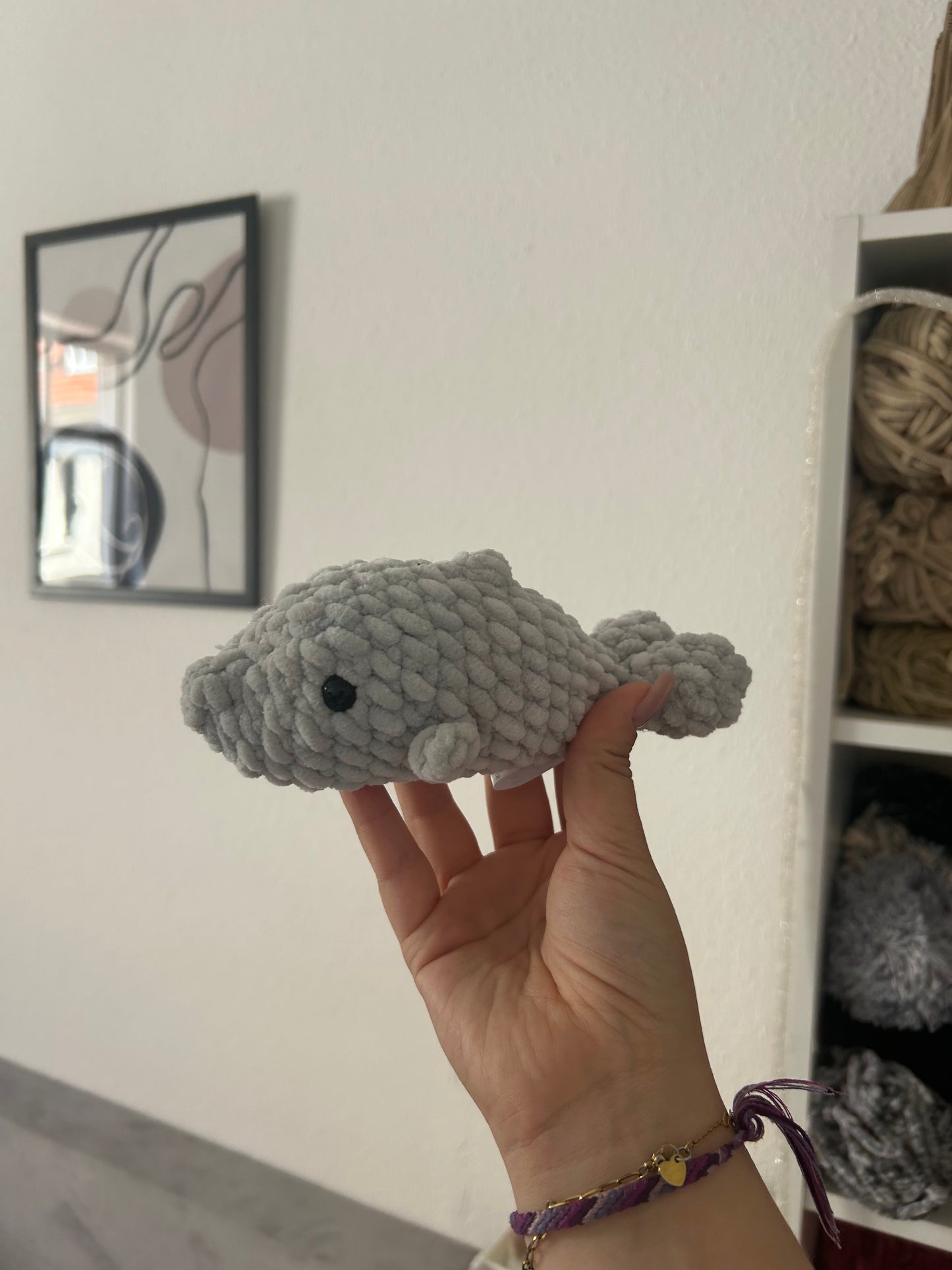 Finni - der Delfin