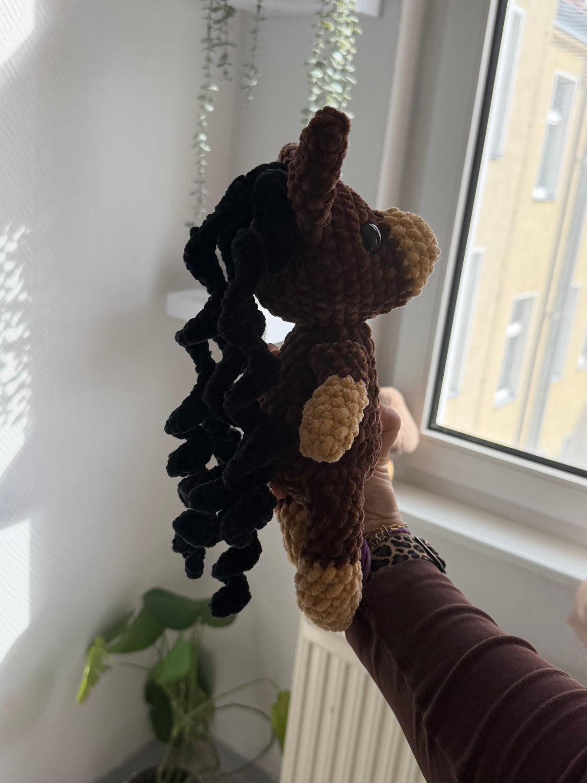 Mokka – das Pferd