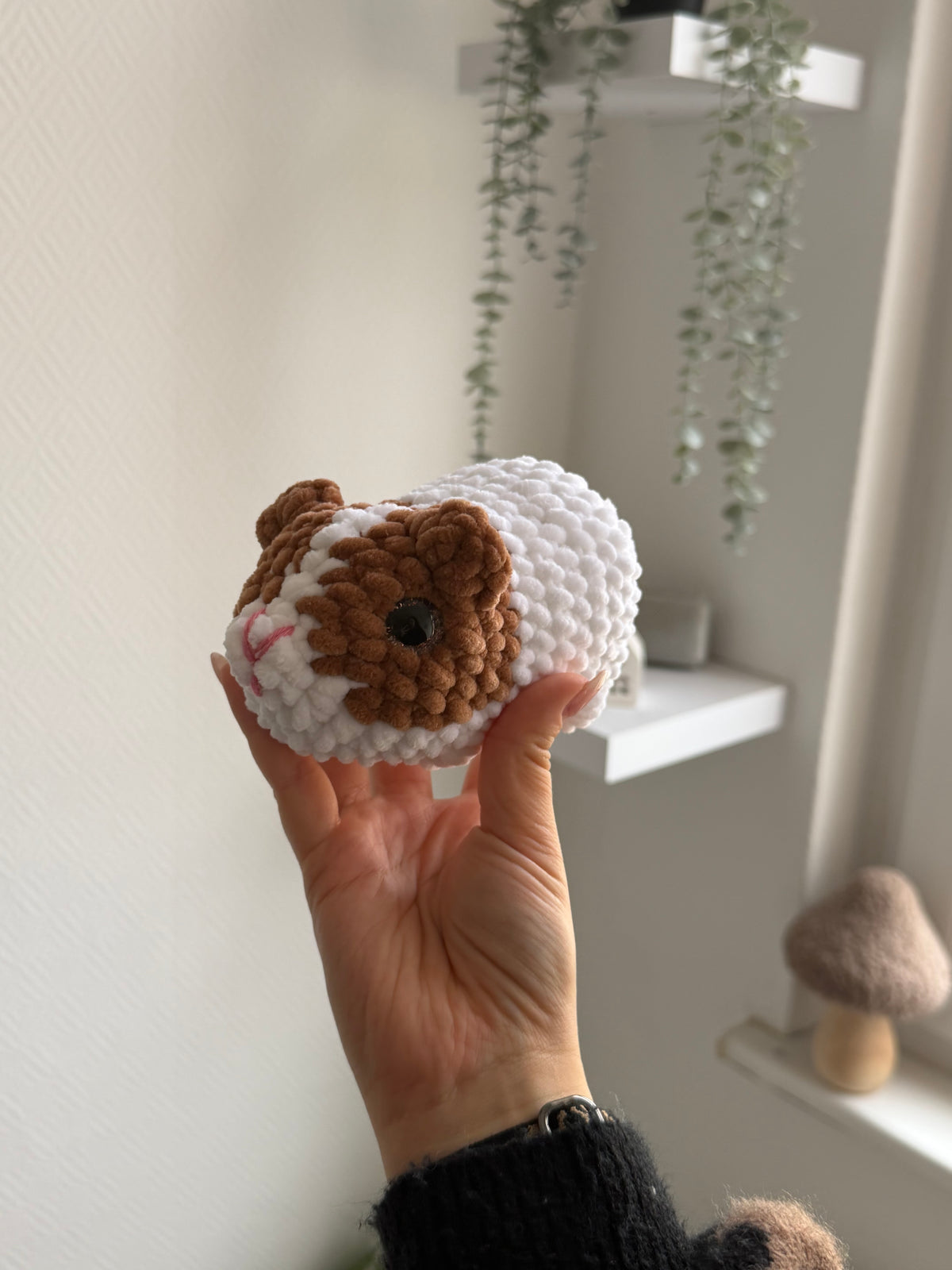 Flocke - das Meerschweinchen