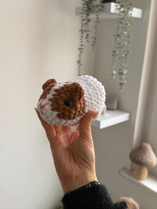 Flocke - das Meerschweinchen