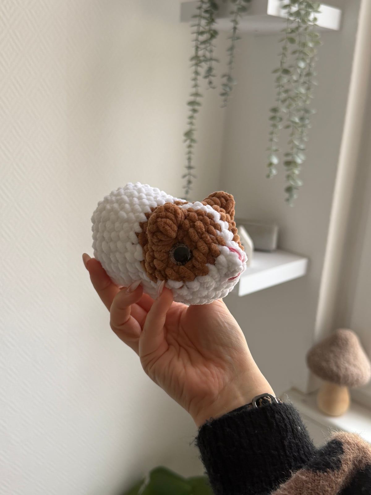 Flocke - das Meerschweinchen